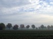 081102Herfstwandeling002.jpg: 640x480, 49k (May 16, 2024, at 07:49 PM)