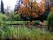 081102Herfstwandeling014.jpg: 640x480, 144k (May 16, 2024, at 07:49 PM)
