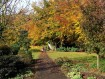 081102Herfstwandeling054.jpg: 640x480, 161k (May 16, 2024, at 07:49 PM)