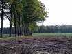 081102Herfstwandeling069.jpg: 640x480, 111k (May 16, 2024, at 07:49 PM)