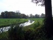 081102Herfstwandeling072.jpg: 640x480, 71k (May 16, 2024, at 07:49 PM)