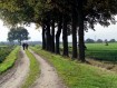 081102Herfstwandeling083.jpg: 640x480, 119k (May 16, 2024, at 07:49 PM)