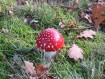 081102Herfstwandeling092.jpg: 640x480, 127k (May 16, 2024, at 07:49 PM)