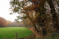 091101Herfstwandeling065.jpg: 720x480, 129k (May 16, 2024, at 07:49 PM)