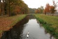 091101Herfstwandeling071.jpg: 720x480, 108k (May 16, 2024, at 07:49 PM)