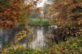 091101Herfstwandeling073.jpg: 720x480, 153k (May 16, 2024, at 07:49 PM)