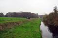 091101Herfstwandeling084.jpg: 720x480, 81k (May 16, 2024, at 07:49 PM)