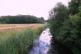 100704Zomerwandeling067.jpg: 720x480, 88k (May 16, 2024, at 07:49 PM)