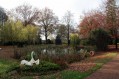 101107Herfstwandeling008.jpg: 720x480, 131k (May 16, 2024, at 07:50 PM)