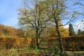 101107Herfstwandeling043.jpg: 720x480, 158k (May 16, 2024, at 07:50 PM)