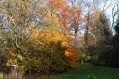 101107Herfstwandeling046.jpg: 720x480, 166k (May 16, 2024, at 07:50 PM)