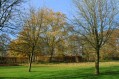 101107Herfstwandeling047.jpg: 720x480, 161k (May 16, 2024, at 07:50 PM)