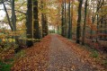 101107Herfstwandeling085.jpg: 720x480, 151k (May 16, 2024, at 07:50 PM)