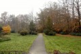 111106_Herfstwandeling27.jpg: 900x600, 199k (May 16, 2024, at 07:50 PM)