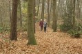 111106_Herfstwandeling50.jpg: 900x600, 263k (May 16, 2024, at 07:50 PM)