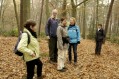 111106_Herfstwandeling51.jpg: 900x600, 224k (May 16, 2024, at 07:50 PM)