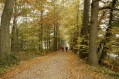 111106_Herfstwandeling77.jpg: 900x600, 263k (May 16, 2024, at 07:50 PM)
