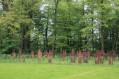 120506Lentewandeling33.jpg: 900x600, 209k (May 16, 2024, at 07:50 PM)