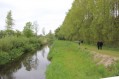 120506Lentewandeling41.jpg: 900x600, 169k (May 16, 2024, at 07:50 PM)