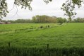 120506Lentewandeling43.jpg: 900x600, 190k (May 16, 2024, at 07:50 PM)