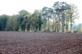 121104Herfstwandeling24.jpg: 900x600, 173k (May 16, 2024, at 07:50 PM)