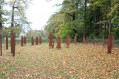 121104Herfstwandeling35.jpg: 900x600, 178k (May 16, 2024, at 07:50 PM)