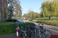 181104Herfstwandeling07.jpg: 900x600, 548k (May 16, 2024, at 07:50 PM)