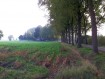 181104Herfstwandeling14.jpg: 800x600, 429k (May 16, 2024, at 07:50 PM)
