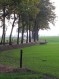 181104Herfstwandeling20.jpg: 600x800, 425k (May 16, 2024, at 07:50 PM)