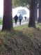 181104Herfstwandeling22.jpg: 600x800, 442k (May 16, 2024, at 07:50 PM)