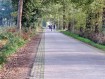 181104Herfstwandeling30.jpg: 800x600, 502k (May 16, 2024, at 07:50 PM)