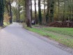 181104Herfstwandeling32.jpg: 800x600, 515k (May 16, 2024, at 07:50 PM)