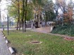 181104Herfstwandeling37.jpg: 800x600, 595k (May 16, 2024, at 07:50 PM)