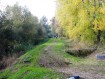 181104Herfstwandeling38.jpg: 800x600, 528k (May 16, 2024, at 07:50 PM)