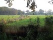 181104Herfstwandeling39.jpg: 800x600, 427k (May 16, 2024, at 07:50 PM)