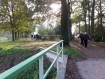 181104Herfstwandeling40.jpg: 800x600, 531k (May 16, 2024, at 07:50 PM)